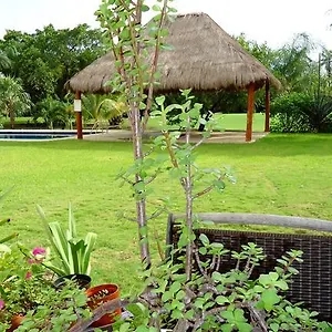 Bed & Breakfast Mom's House, Puerto Aventuras